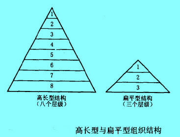 Image:高長(zhǎng)型與扁平型組織結(jié)構(gòu).jpg