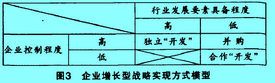 Image:企業(yè)增長型戰(zhàn)略實(shí)現(xiàn)方式.jpg