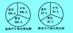 Image:總體中個體分類比例.jpg