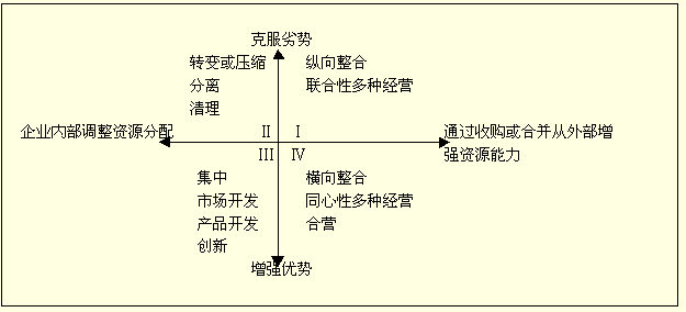 戰(zhàn)略選擇矩陣