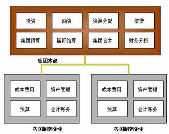 集團財務的集權管理模式構建.JPG