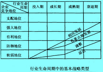 行業(yè)生命周期中的基本戰(zhàn)略類型