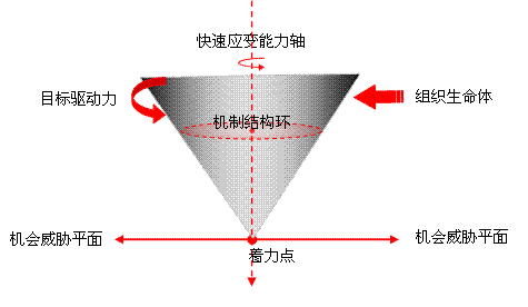 陀螺模型