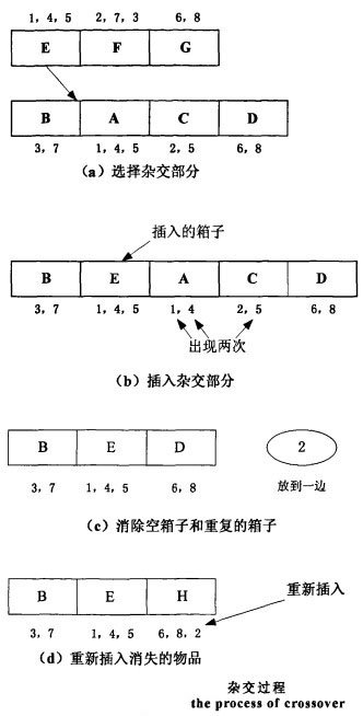 雜交過程